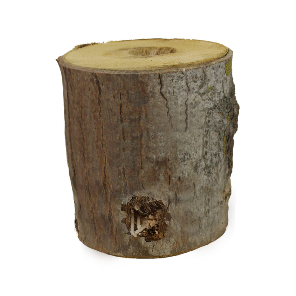 Schwedenfeuer, Finnenfackel – Baumfackel für den Garten, 18 x 18 cm