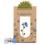 Trostspender Vergissmeinnicht hinter Glas, Geschenk zur Aufmunterung