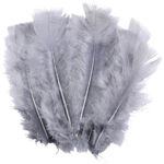 Dekofedern, 35 Stück, Grau, 17 cm