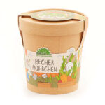 Becher-Set zum Pflanzen von Karotten „Möhrchen aus dem Becher“