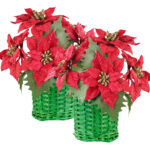 2er-Set Weihnachts-Gestecke mit Weihnachtssternen im geflochtenem Korb