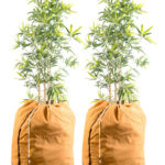 2er-Set XL-Thermo-Topfschutz für Pflanzen, 70 x 65 cm