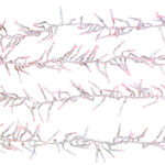 LED-Büschel-Lichterkette mit 300 RGB-LEDs & Timer-Funktion, IP44, 3 m