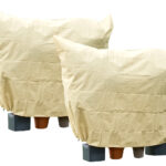 2er-Set XXXL-Pflanzenabdeckungen als Winterschutz, 360x250cm, 100g/m²