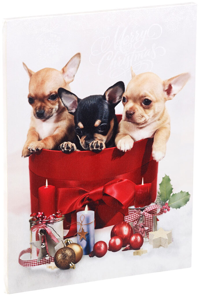 LED-Wandbild, Weihnachts-Hundewelpen-Motiv, 3 Flacker-LEDs,30 x 40 cm
