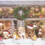 LED-Wandbild, Weihnachts-Hundewelpen-Motiv, 5 Flacker-LEDs, 60 x 40 cm