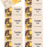 250 Visitenkarten, microperforiert, Inkjet & Laser, 250 g/m², 85 x 54