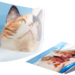 Individuelle Wandlampe bedruckbar mit Ihrem Lieblingsfoto