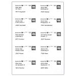 1000 Adress-Etiketten 99,1 x 57 mm für Laser/Inkjet
