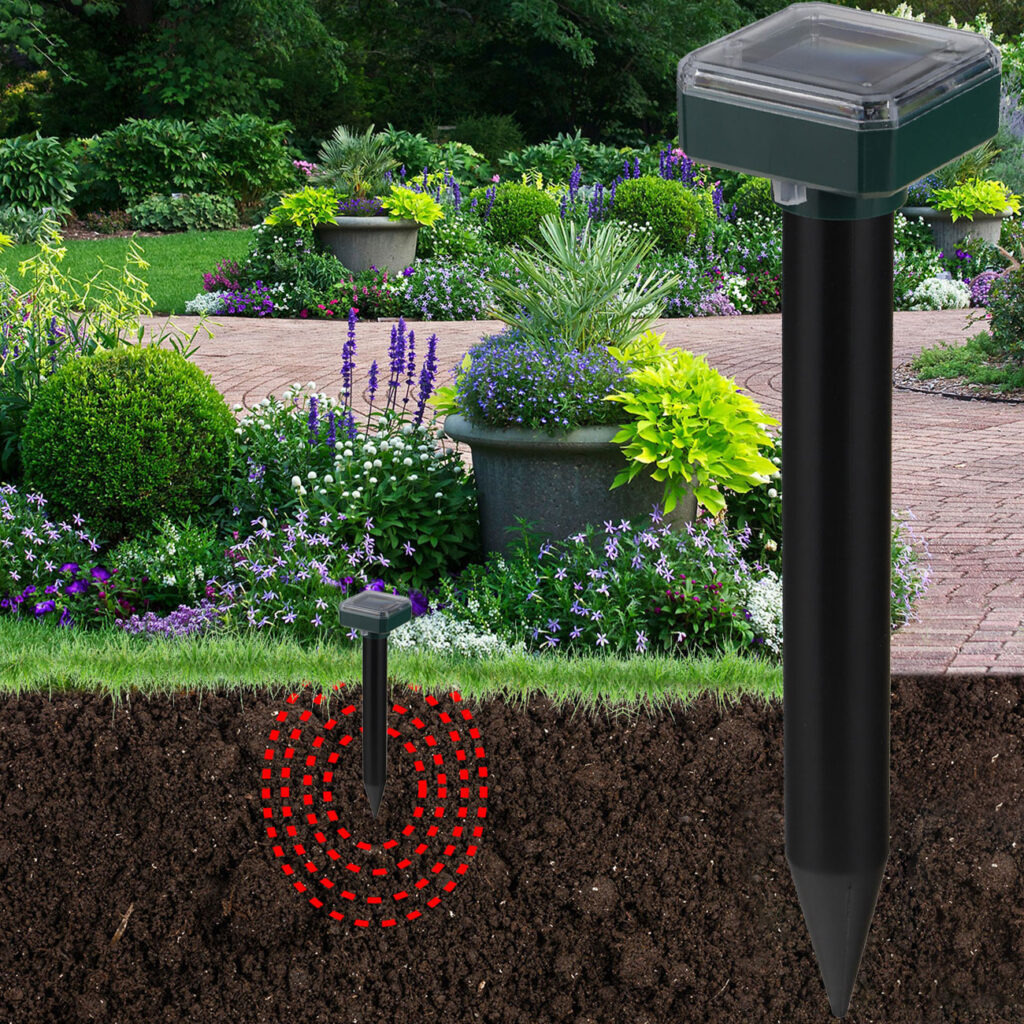 Solar-Wühlmausschreck, 2 Stück, H 25 cm