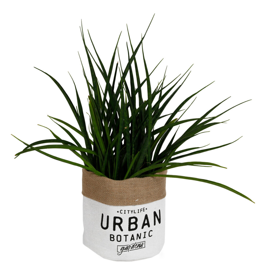 Pflanzsack aus Jute mit umgeschlagenem Rand, Übertopf mit Druck und Innenfolie, 21 x 23 cm