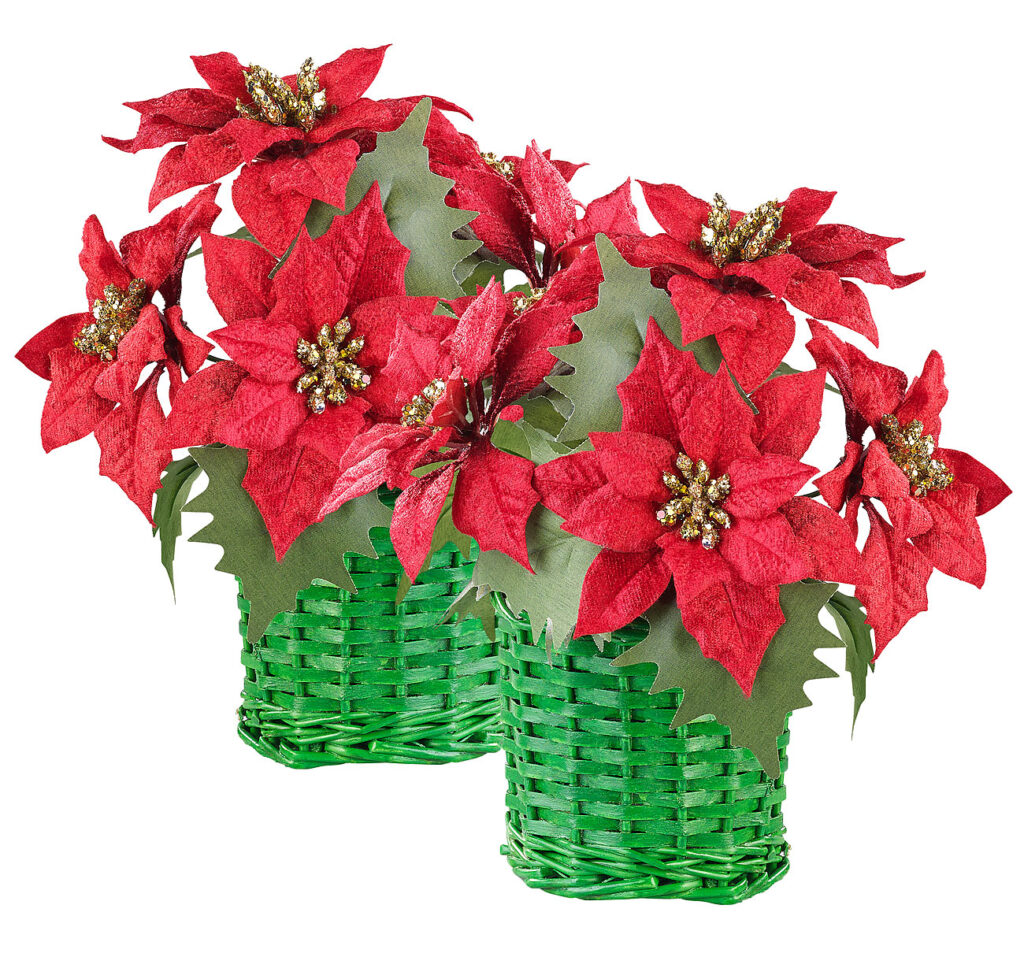 2er-Set Weihnachts-Gestecke mit Weihnachtssternen im geflochtenem Korb