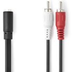 Audio-Kabeladapter 3,5-mm-Buchse zu Cinch-Stecker, 0,2 m