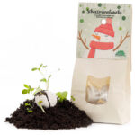 Schneemannbäuche: 8 Samenbomben, 19 Wildblumen-Saatgut Schneemannbäuche: 8 Samenbomben, 19 Wildblumen-Saatgut