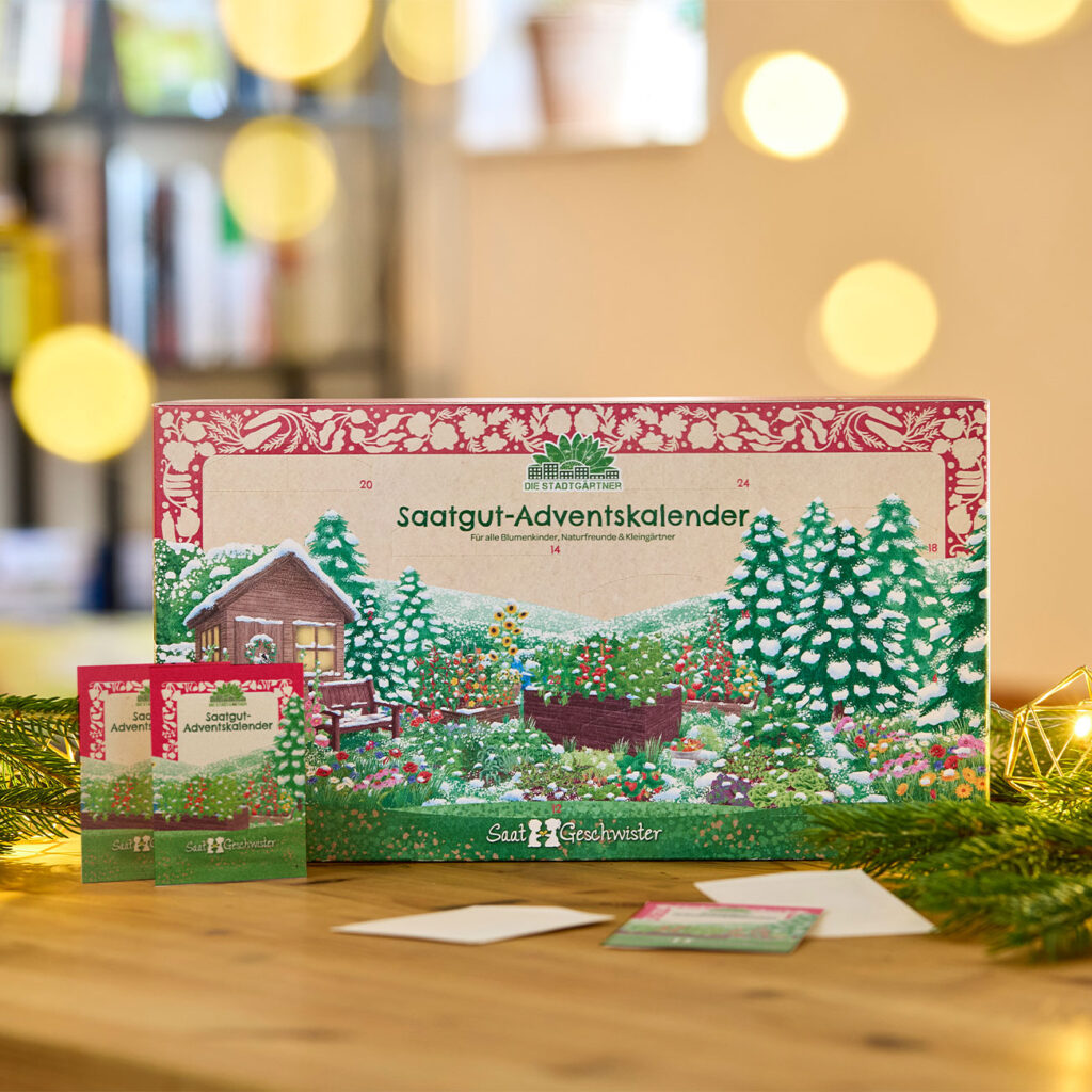 Saatgut Adventskalender mit 24 Samen-Überraschungen: Blumen, Kräuter, Gemüse, Salat