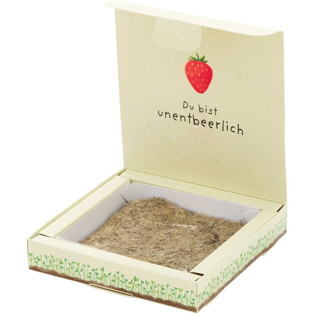 Erdbeeren-Saatgut-Set „Du bist unentbeerlich“ Erdbeeren-Saatgut-Set „Du bist unentbeerlich“