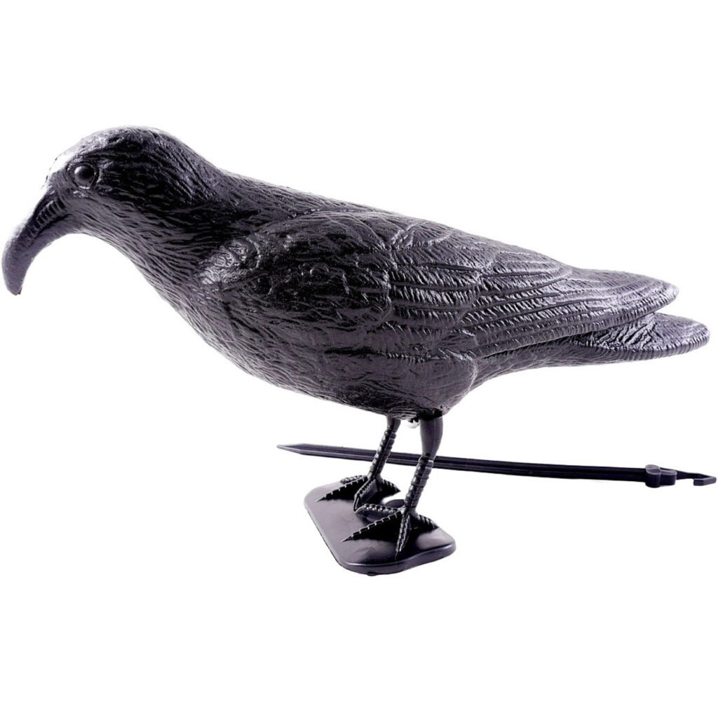 Taubenabwehr, schwarzer Rabe aus Kunststoff, 20 x 36 cm