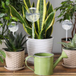 4er-Set Bewässerungskugeln aus Glas, 2 Grössen