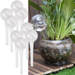 8er-Set Bewässerungskugeln aus Glas, transparent, Ø 6 x H 15 cm