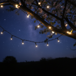 SmartLife LED Lichterkette, 50 LEDs, warmweiss/kaltweiss, 11 Lichtmuster, IP65, 5 m