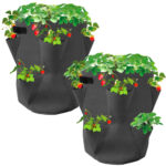 Erdbeer-Pflanzsack, 2er-Set, 43 Liter, Ø 35 cm x H 45 cm