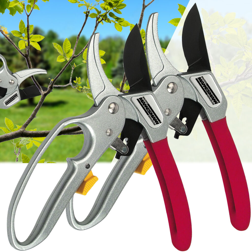 2er-Set Ratschen-Gartenschere, 25 x 9,5 x 2 cm 2er-Set Ratschen-Gartenschere, 25 x 9,5 x 2 cm