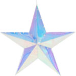 Weihnachtsstern Regenbogen mit 40 LEDs, kaltweiss, 52 x 14 x 51 cm Weihnachtsstern Regenbogen mit 40 LEDs, kaltweiss, 52 x 14 x 51 cm