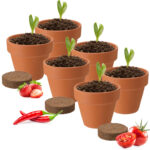 2er-Set Pflanz-Set mit Tontöpfen und Samen, Pflanztöpfe 2er-Set Pflanz-Set mit Tontöpfen und Samen, Pflanztöpfe