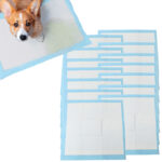 Welpenunterlage, 60 Stk., absorbierend und auslaufsicher, je 60 x 60 cm