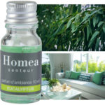 Duftöl Eukalyptus, Raumduft, 10ml