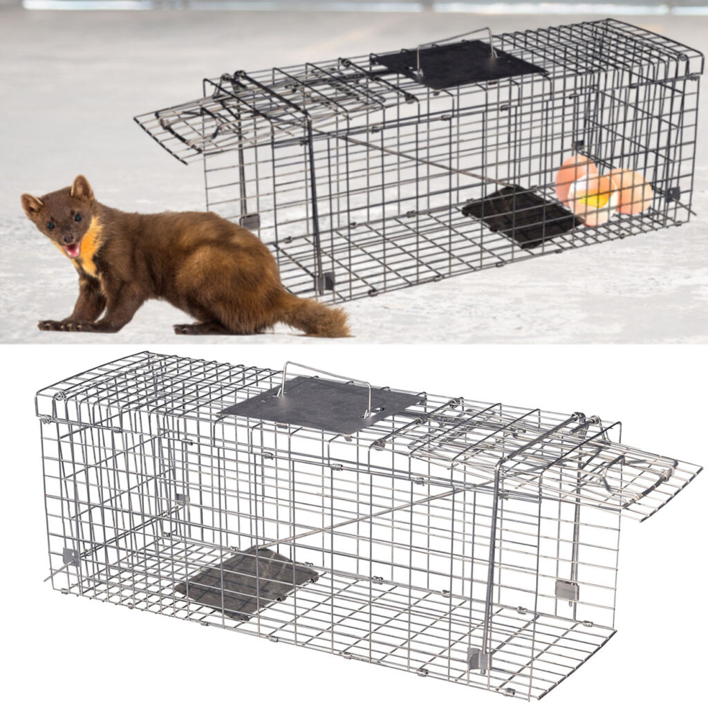 Marder Käfig Lebenfalle