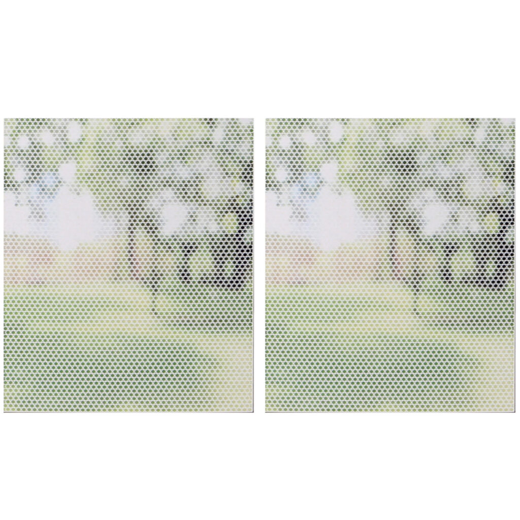 2er-Set Fliegenschutzgitter für Fenster, zuschneidbar, weiss, 150 x 250 cm