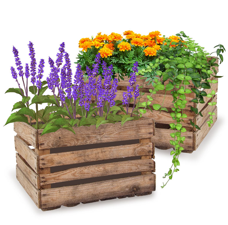 Deko Holzkiste, 50,5 x 31,5 x 41 cm, Harasse, 3,5 kg