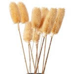 2er-Set Trockenblumen weisse Disteln mit je 5 Zweigen, Blumen Dekoration, je 70 cm