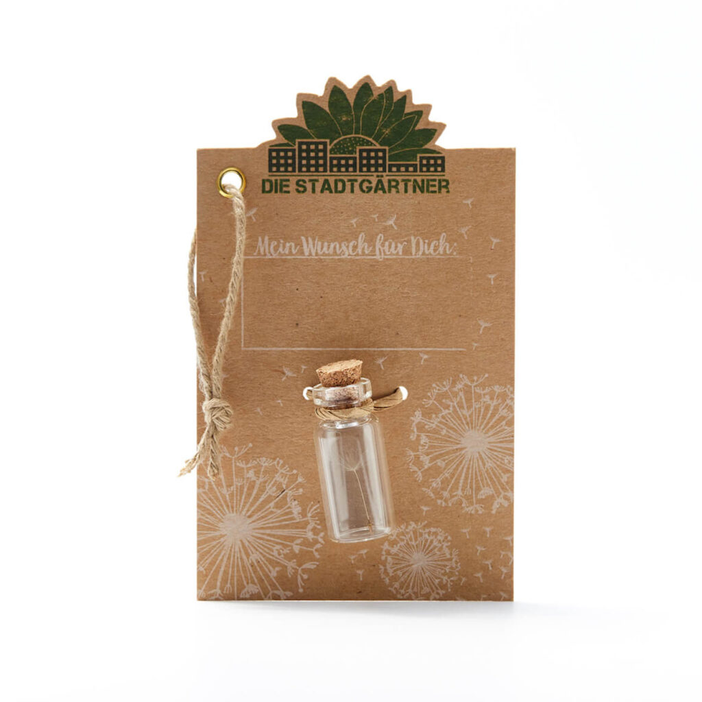 Wunscherfüller Glas mit Korkverschluss, natürliche Pusteblume im Glas, klein