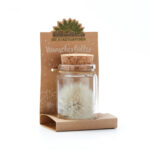 Wunscherfüller Glas mit Korkverschluss, natürliche Pusteblume im Glas, gross