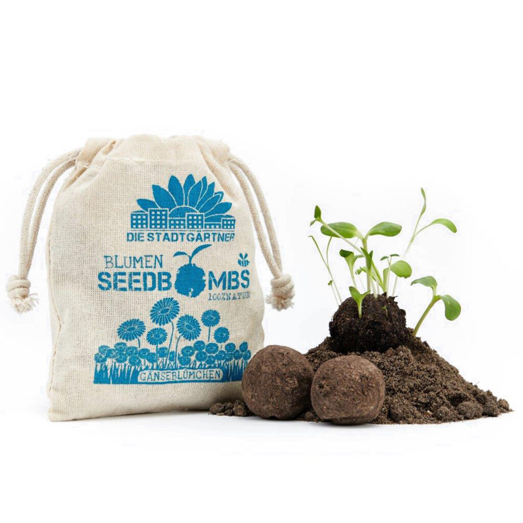 Samenbomben Gänseblümchen 8er-Set, Saatbomben sonnige Gänseblümchen