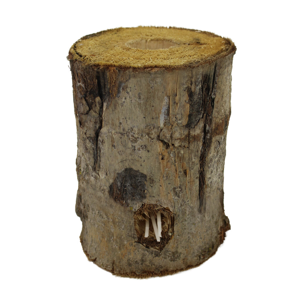 Schwedenfeuer, Finnenfackel – Baumfackel für den Garten, 15 x 18 cm