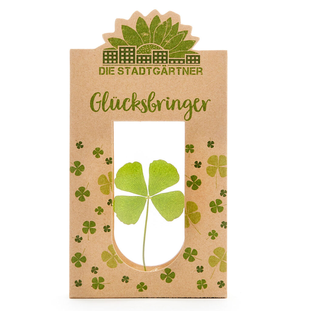 Glücksbringer, vierblättriges Kleeblatt hinter Glas