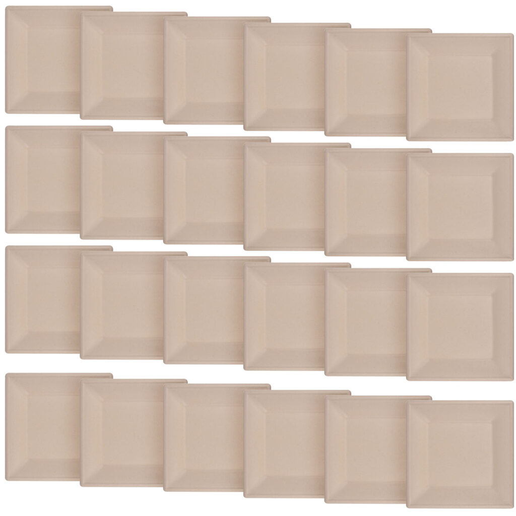 Teller eckig aus Zuckerrohr 24er-Set, Teller biologisch abbaubar, 20 x 20 cm