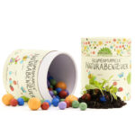 Blumenmurmeln „Naturabenteuer“, 100-Stk