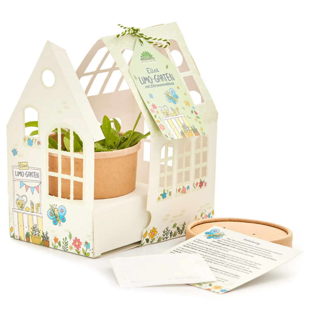 Kleines Gewächshäuschen Zitronenmelisse, Aufzuchtset