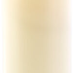 Echtwachskerze mit beweglicher LED-Flamme, 90 x 225 mm, Gr. XL Echtwachskerze mit beweglicher LED-Flamme, 90 x 225 mm, Gr. XL