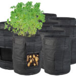 10er-Set Pflanzen-Wachstumssäcke, je 10 l, Tragegriffe, Sichtfenster